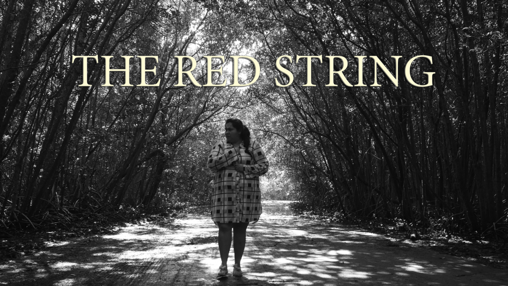 Synopsis: An autistic girl finds herself in a room with no way out. She looks for a missing red string, but first she needs to get out of the room with the help of three tools that she finds in there: a pill, an old camera, and a notebook.